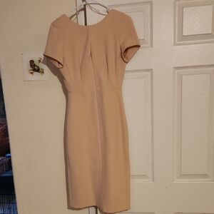 Zara  Peachy Tan Sheath Midi Dress  Sophisticated